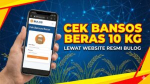 Cara Cek Bansos Beras