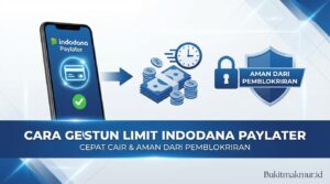 Cara Gestun Limit Indodana Paylater Cepat Cair dan Aman dari Pemblokiran