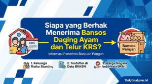 Siapa yang Berhak Menerima Bansos Daging Ayam dan Telur KRS?