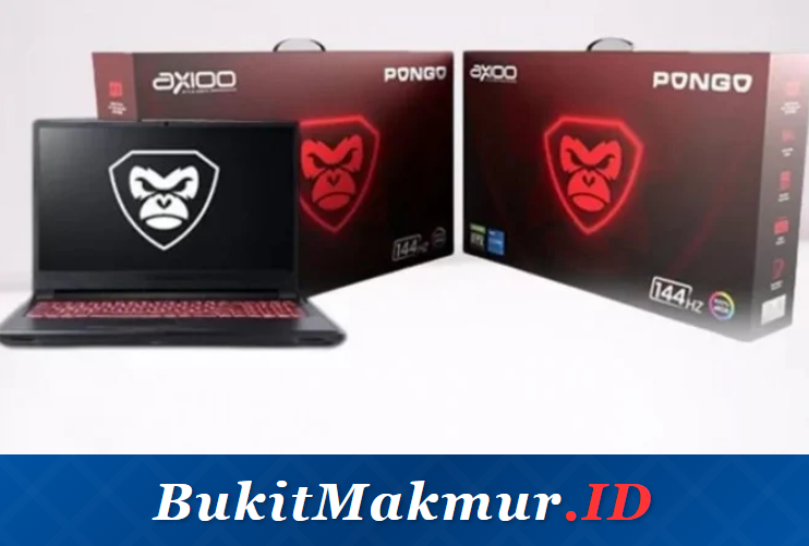 Laptop Axioo Pongo