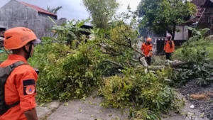 Angin Kencang Kudus: Ratusan Rumah Rusak Parah!