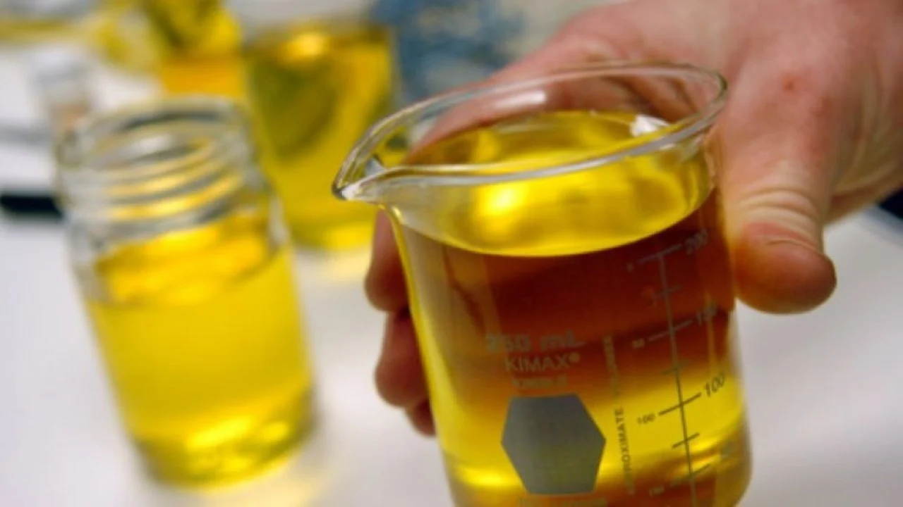 Biosolar Campur Minyak Kelapa Sawit 50% Resmi Berlaku 2026