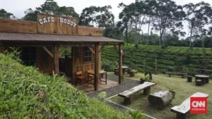 Desa BRILiaN Tugu Selatan: Sukses Transformasi Ekonomi 2026