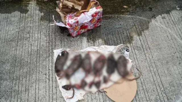 Kantor PWI Dirusak: Ancaman Teror Jurnalis di Bangka Belitung!