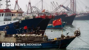 Kapal Wisata Asing Disegel Bea Cukai Akibat Sewa Ilegal