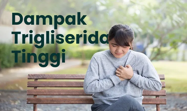 Kemarau Sumsel 2026: Jadwal & Dampak yang Perlu Diwaspadai