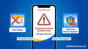 Kenapa ShopeePay Later Dinonaktifkan Sementara? Hindari Hal Ini
