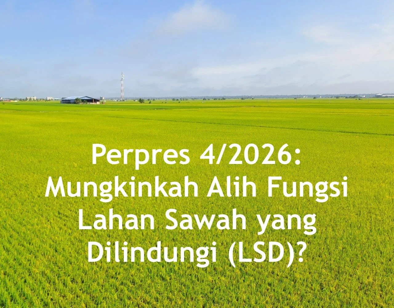 Lahan Sawah Dilindungi: 6,5 Juta Hektare Aman dari Alih Fungsi!