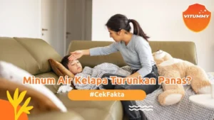 Minum Air Es Saat Demam: Panduan Tepat Pemulihan 2026
