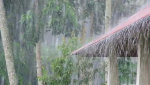 Musim Kemarau 2026: Kapan Tiba? Ini Prediksi BMKG Terbaru