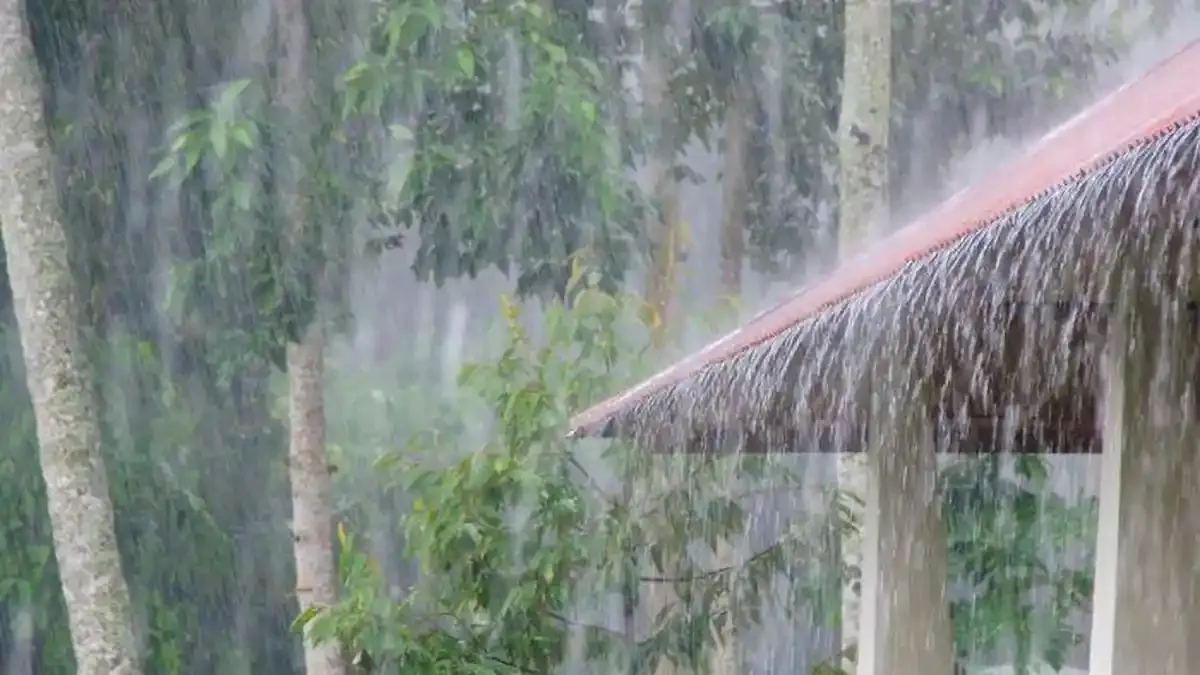 Musim Kemarau 2026: Kapan Tiba? Ini Prediksi BMKG Terbaru