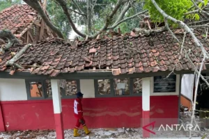Pohon Tumbang di Sekolah Cianjur, 6 Siswa Kelas 4 Alami Luka