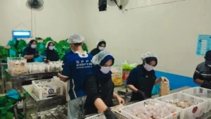 SPPG Tanpa IPAL dan SLHS, Badan Gizi Nasional Hentikan Operasi