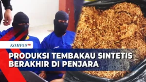 Tembakau Sintetis Jakarta: Pemuda Jadi Dalang Produksi Ilegal