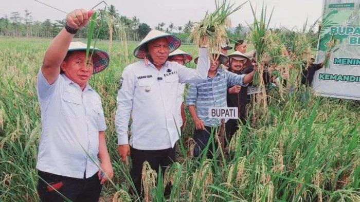 AI di Sektor Pertanian: Strategi Modern Tingkatkan Panen