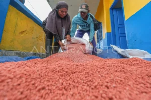 Alokasi Pupuk Subsidi di Gresik Melonjak 2026 untuk Ketahanan Pangan
