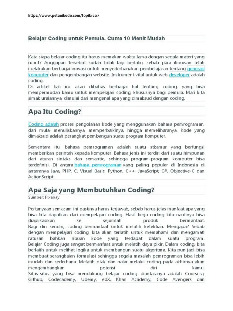 Cara belajar coding untuk pemula yang paling efektif 2026
