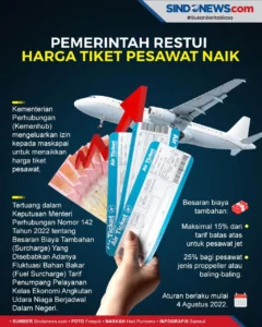 Harga tiket pesawat domestik naik 13 persen izin Menko Airlangga