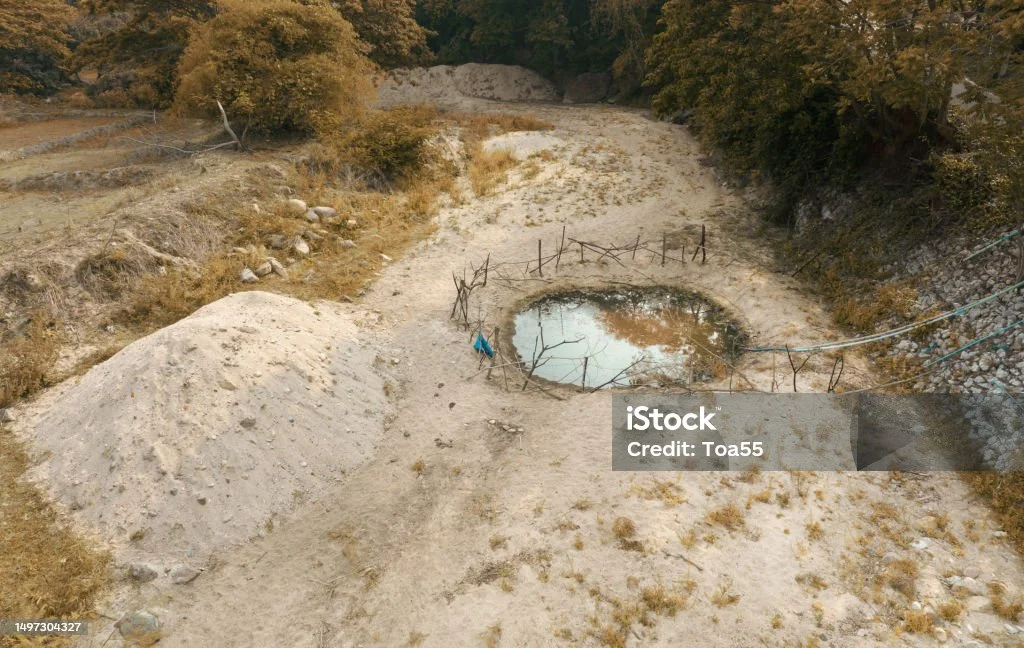 Hasil Laut Melimpah Jadi Berkah di Balik Kekeringan El Nino 2026