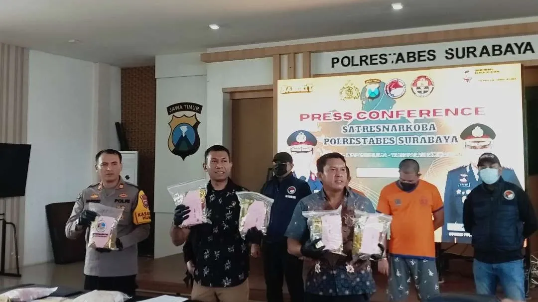 Jaringan Narkoba Delona Vista Bali Terungkap, Polisi Ringkus Bos hingga Kasir