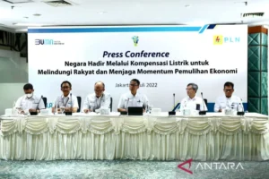 Kompensasi listrik orang kaya dan industri harus dihentikan untuk fiskal sehat