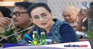 Pembatasan media sosial di Aceh Barat untuk lindungi siswa per 2026