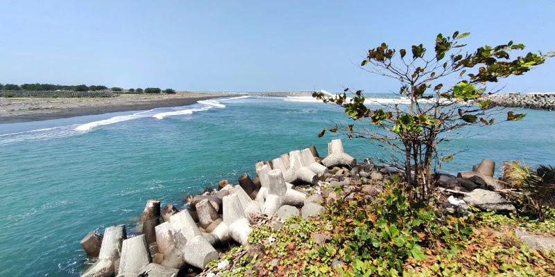 Perlawanan PPLP-KP: Dua Dekade Menjaga Pesisir Kulon Progo