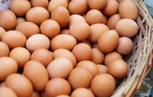 Rekomendasi Makanan Diet Sehat untuk Menurunkan Berat Badan Efektif 2026