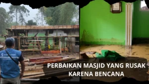 Renovasi Fasdik Terdampak Bencana: Satgas Percepat Perbaikan