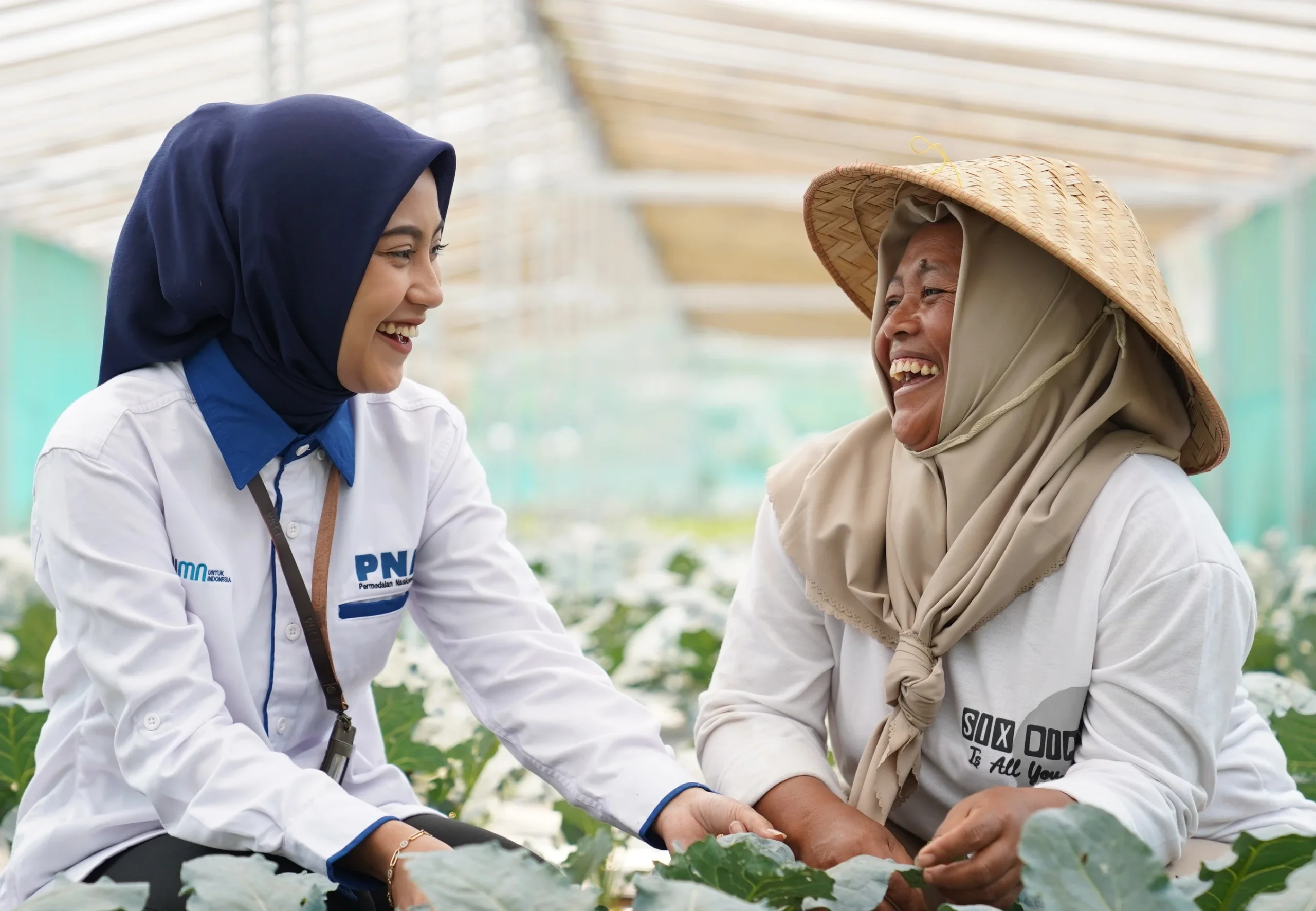 Sinergi Ultra Mikro BRI Berdayakan Nasabah PNM Mekaar 2026