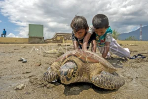 Sinetron Turun Ranjang Episode 7: Aksi Heroik Natha Selamatkan Leon
