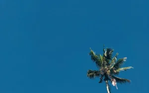 Tempat Wisata Tersembunyi di Indonesia Wajib Kunjung 2026