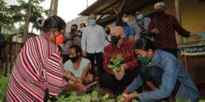 UMKM Tahan Banting Hadapi Tekanan Global dan Geopolitik 2026